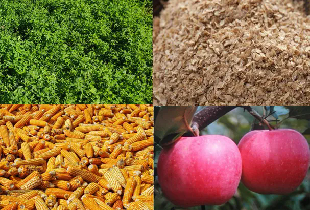 SS:网站文件:20251030113116293677.png;原始文件:640.webp (3).png SS:网站文件:20251030113116293677.png;原始文件:640.webp (3).png